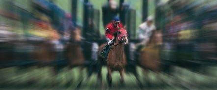 horses coming out of starting gate 